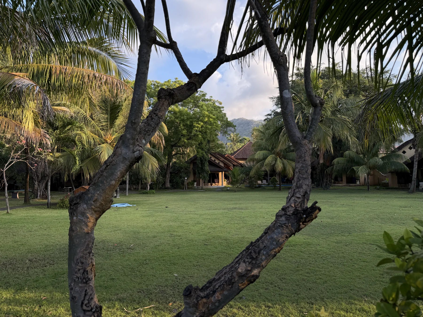 Landscape captured with the phone’s regular 1x camera