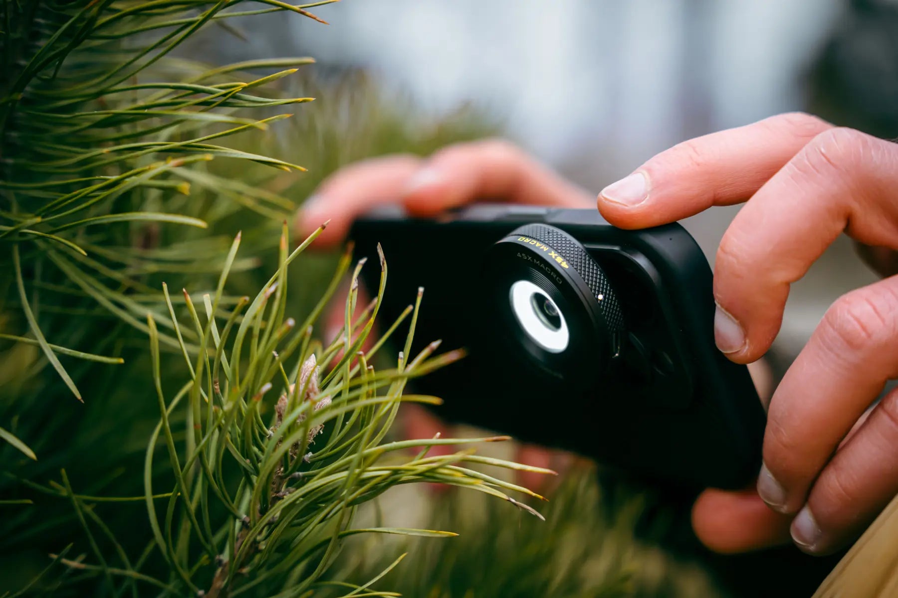 Freewell 45X Macro Lens using its integrated circular light on a smartphone
