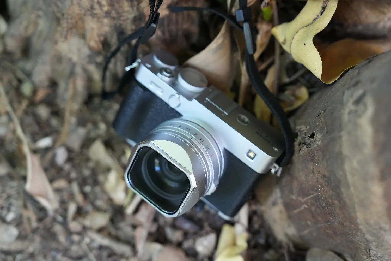 Compact lens hood fitted to a silver Fujifilm X-E5 in the field