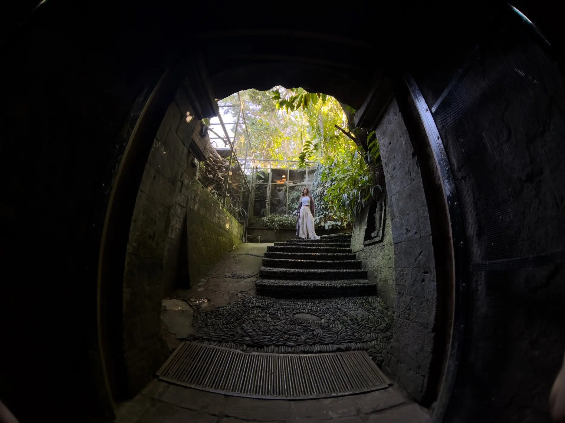 Dark tunnel opening into a bright garden, photographed with a fisheye lens