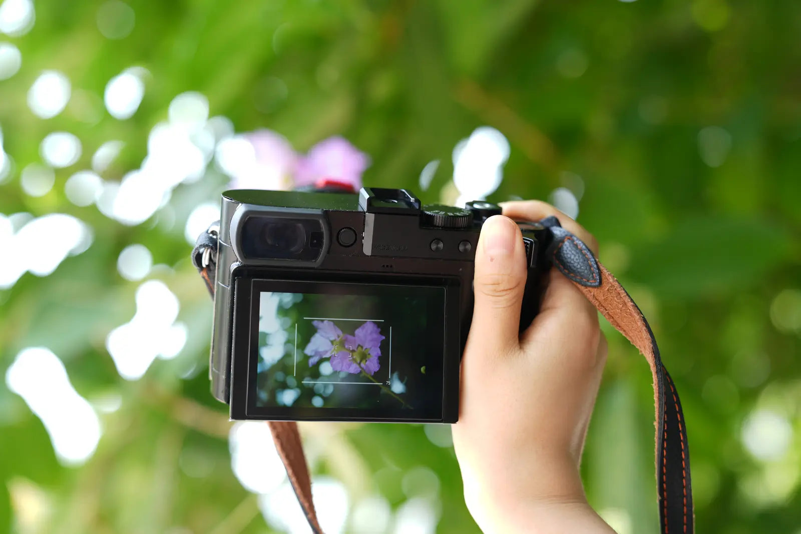 Rear view of the Leica Q3 43 while shooting handheld outdoors